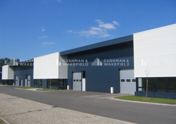 Location entrepôts / activités Geispolsheim Cushman & Wakefield